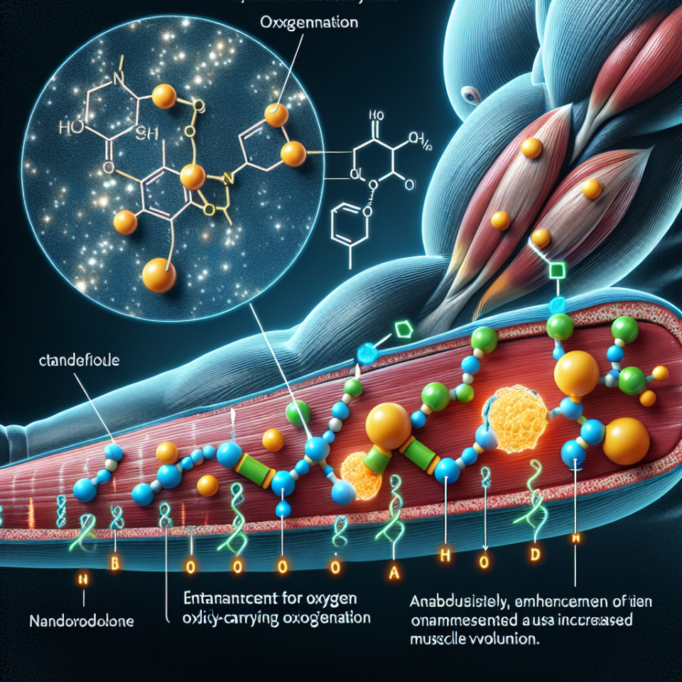 Nandrolone's impact on muscle oxygenation